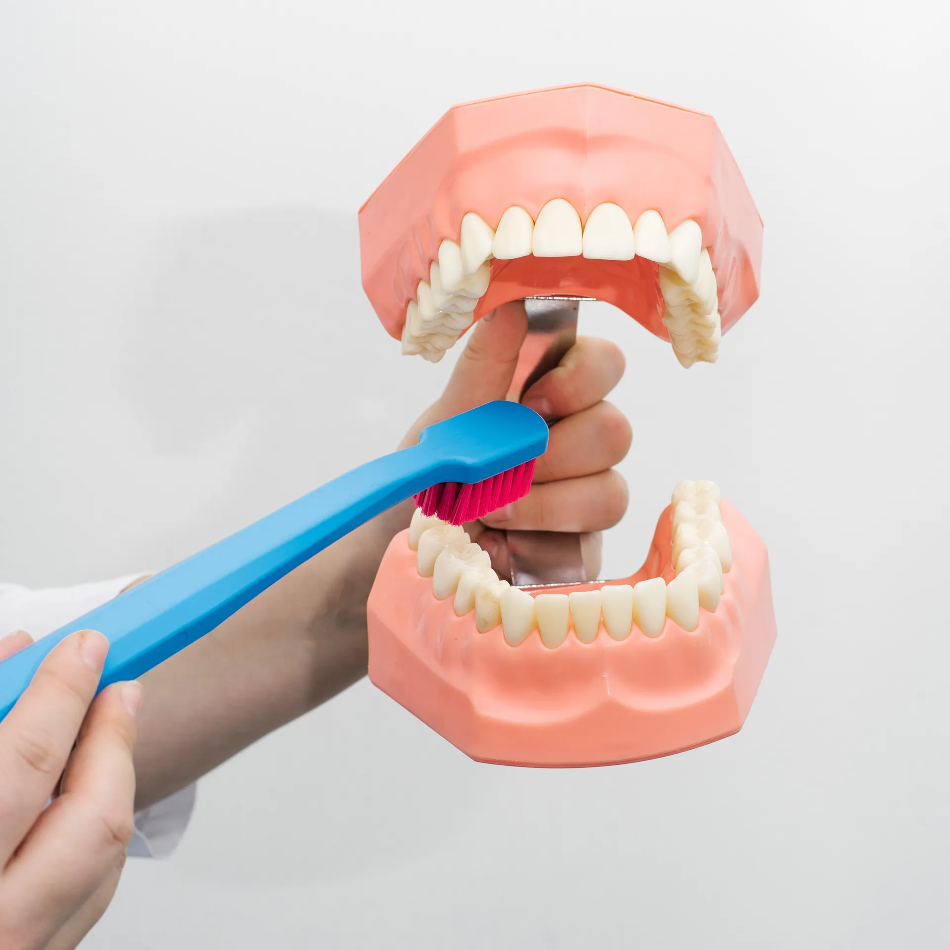 Preventiva kao standard